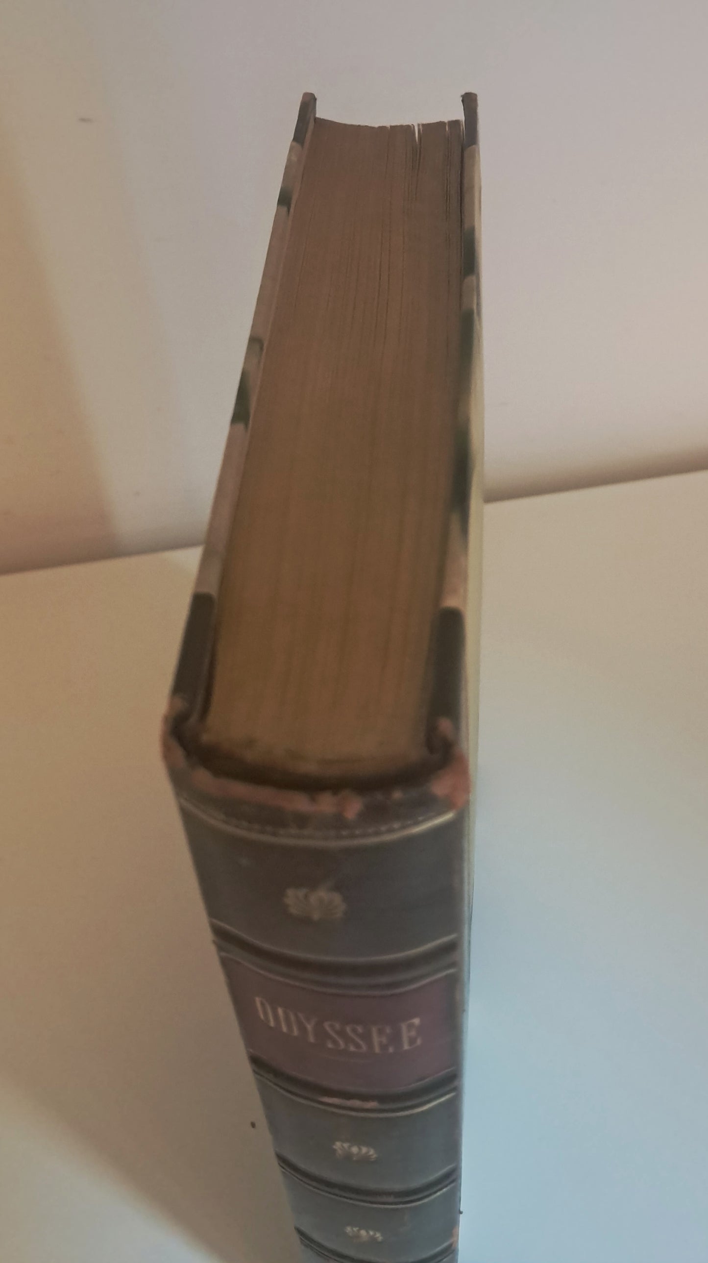 Homer Odyssey German Illustrated Edition Classical Greek Literature Fine Binding