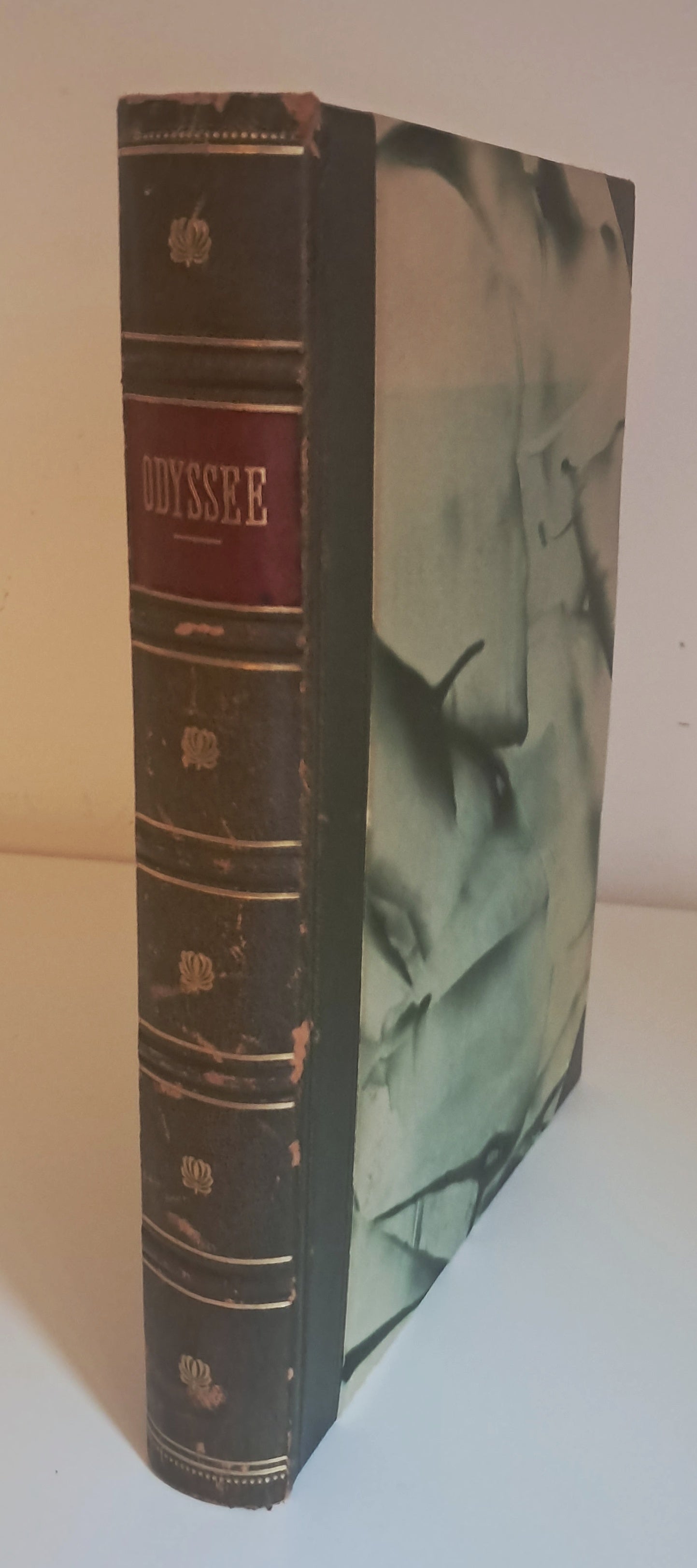 Homer Odyssey German Illustrated Edition Classical Greek Literature Fine Binding