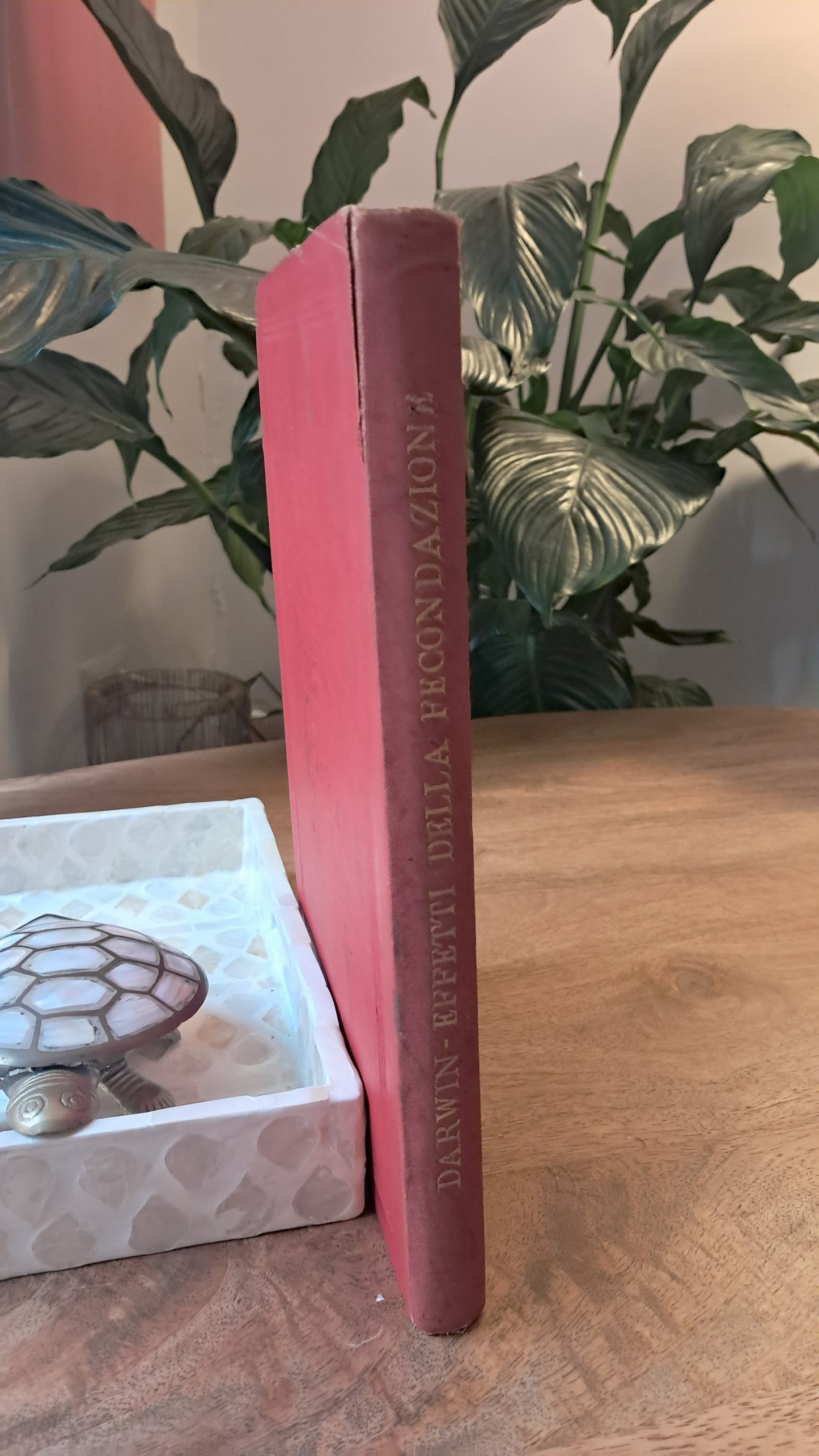 Charles Darwin: Gli Effetti della Fecondazione Incrociata e Propria nel Regno Vegetale