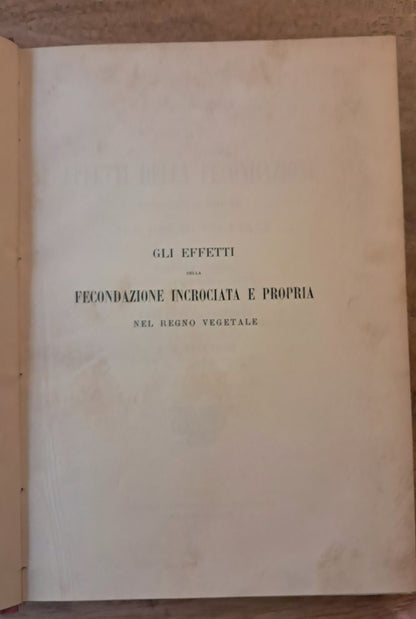 Charles Darwin: Gli Effetti della Fecondazione Incrociata e Propria nel Regno Vegetale